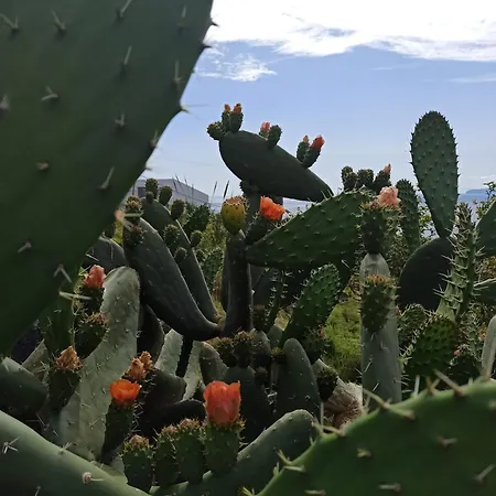 The Goat's Place Pansiyon *