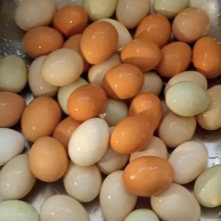 Pansiyon The Goat's Place