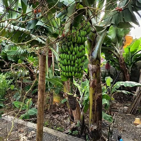 Rum i privatbostad The Goat's Place