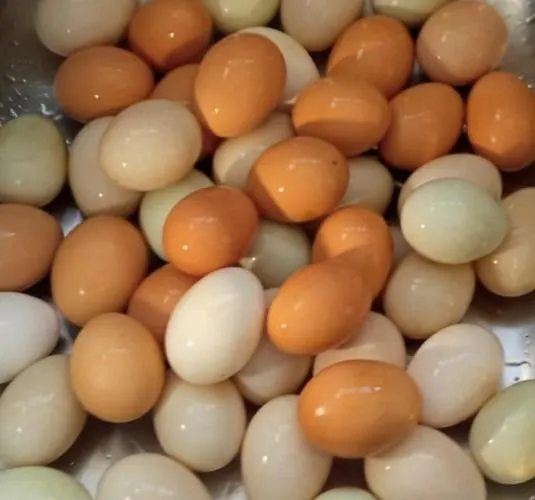 Kwatera prywatna The Goat's Place